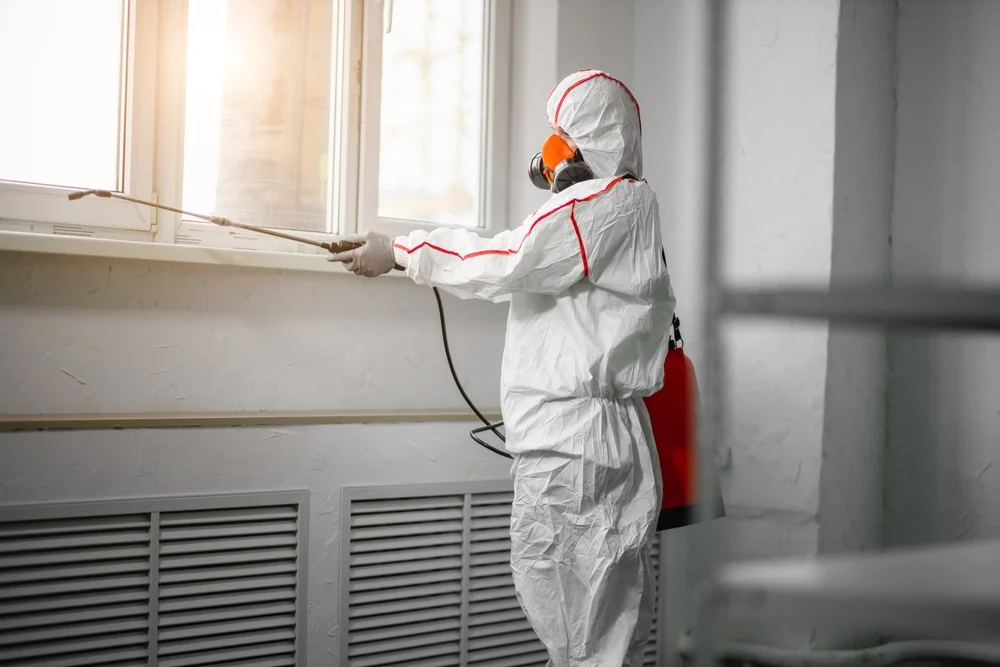 Professional mold remediation services in Villa Rica, GA